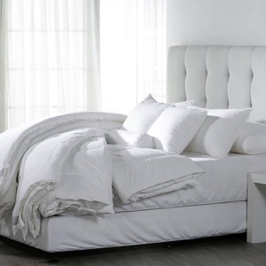 Supply Hotel Luxury 100% Cotton White Filling Duvet Quilted Duvet Set
