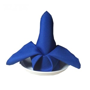 Wholesale Hotel Restaurant Table Napkin Dinner Wedding Napkin