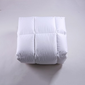 New Product Queen Size Zippered Cotton Mattress Protector For Hotel