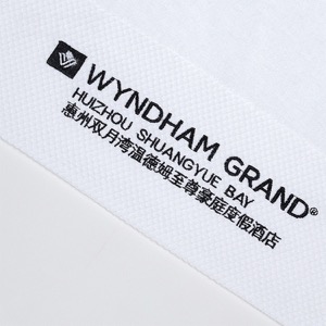 Customized Cotton Five Star Hotel Dobby Border Bath Towel Embroidered Blue Logo
